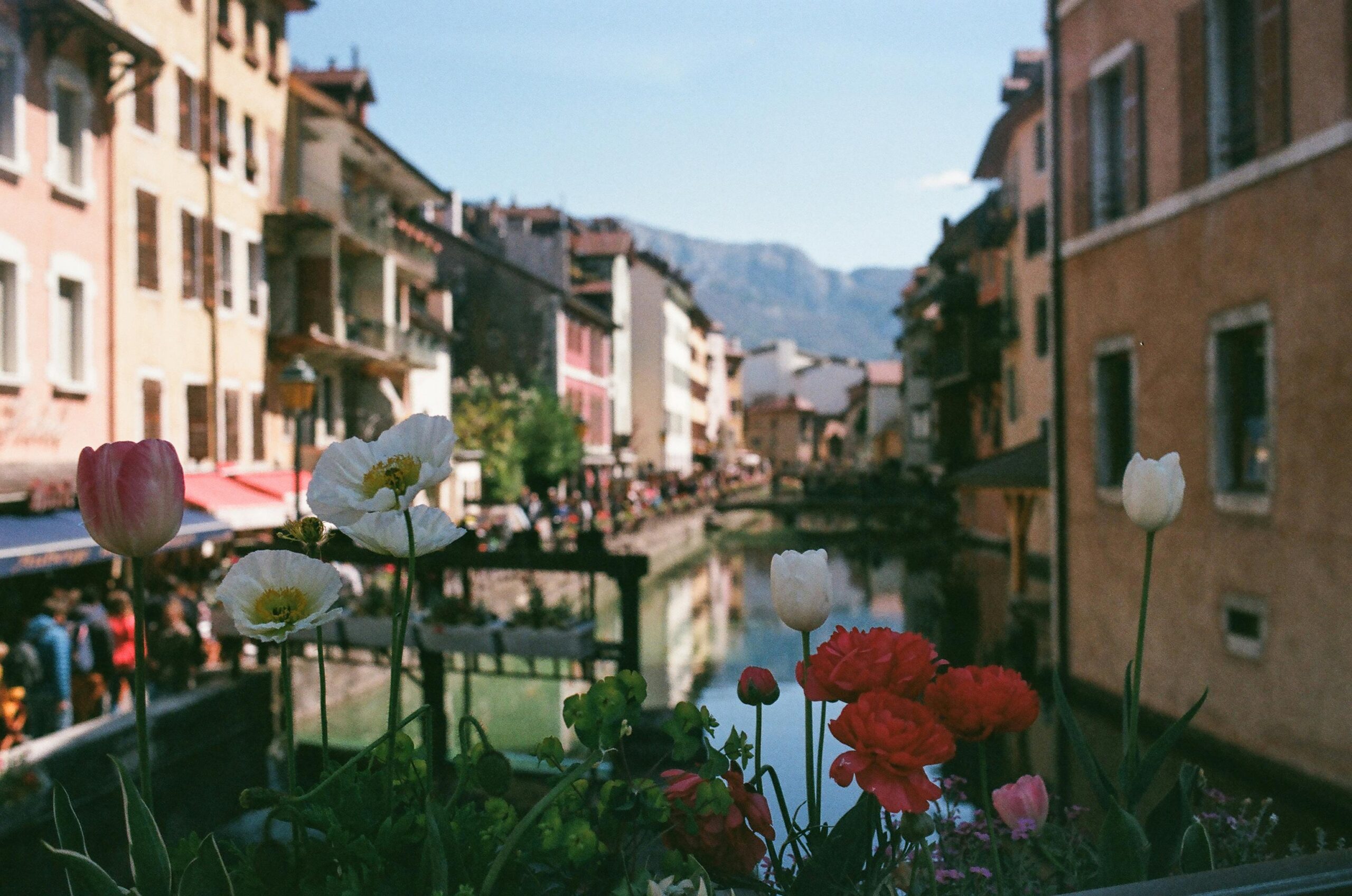 Scenic view of Annecy, a picturesque town in the French Alps, featuring crystal-clear Lake Annecy surrounded by snow-capped mountains, charming medieval architecture, and vibrant flowers lining the canals.